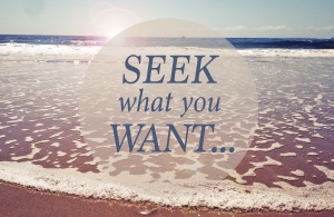Seek What You Want